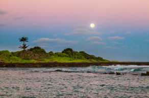 Moon over Turtle Bay-0929.jpg Moon over Turtle Bay-0929.jpg